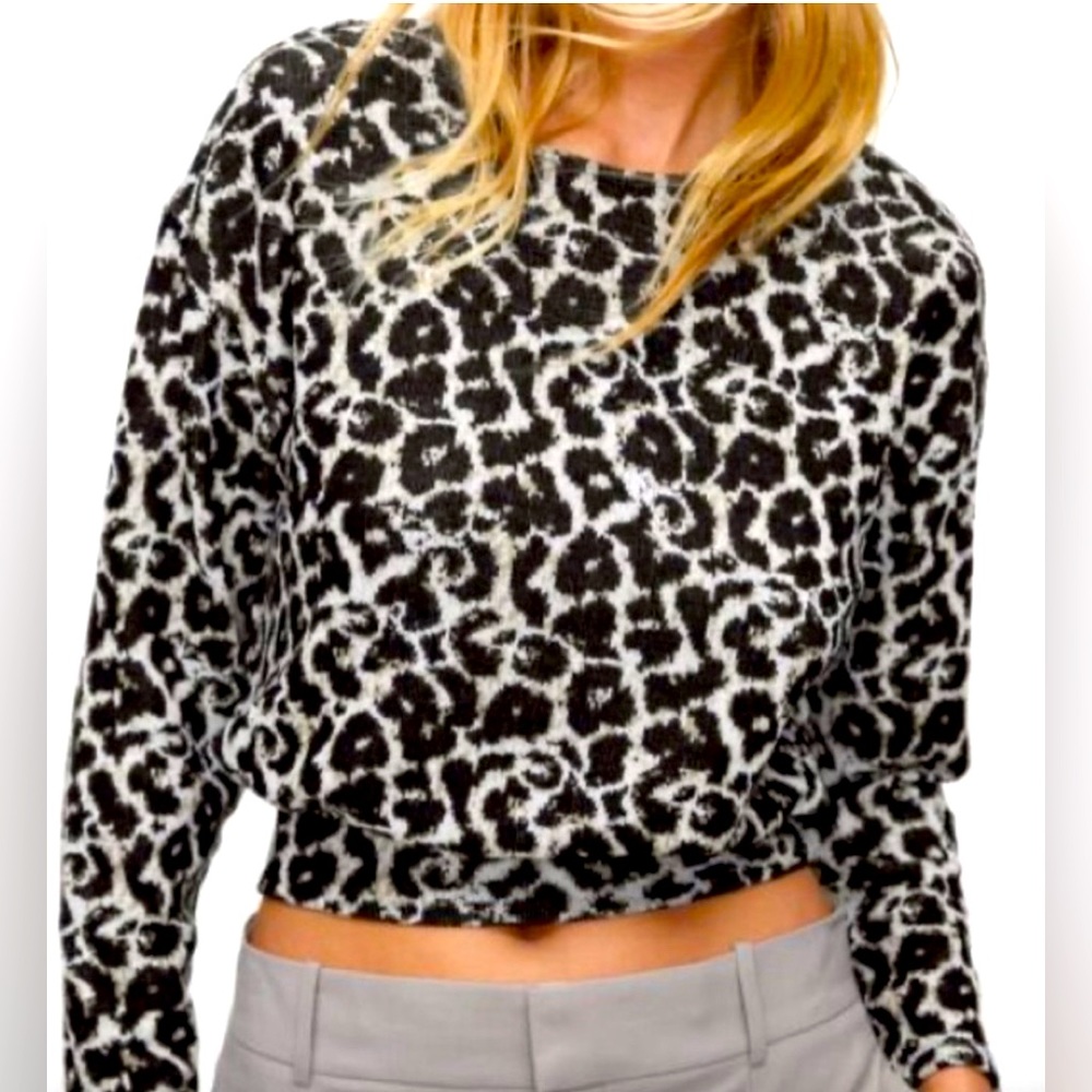 Zara Leopard Print Sweater Cropped Top